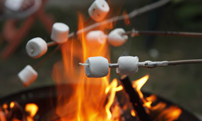Toasting marshmallows on campfire