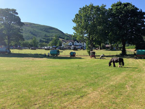 Farm land near Abbey Grange Campsite